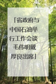 省政府与中国石油举行工作会谈 毛伟明戴厚良出席